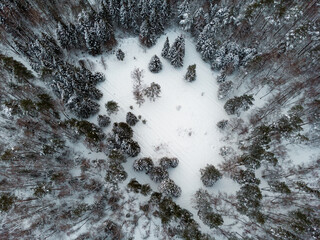 A view from a great height to a snow-covered meadow in a winter forest
