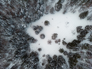 A view from a great height to a snow-covered meadow in a winter forest