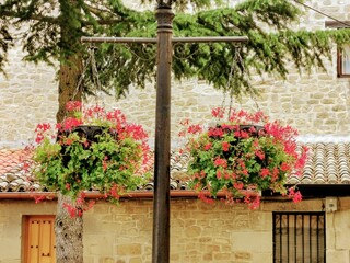 Fototapeta premium window with flowers in the village