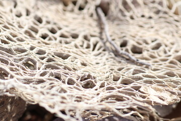 Dried plant net pattern