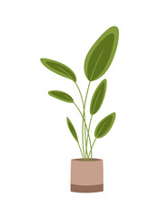 Living room decoration concept. Beautiful sticker with beige pot, green plant and round large leaves. Organic element of interior design. Cartoon flat vector illustration isolated on white background