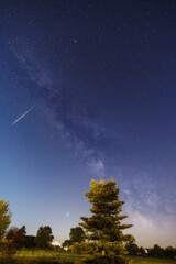 Beautiful starry night sky with fir tree in front of the Milky Way and shooting star above in the morning twilight