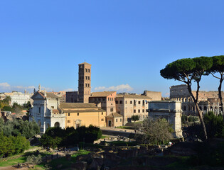 Fototapeta na wymiar Blue sky, green grass, stone pines, Santa Francesca Romana church, Triumphal arch of Titus and Colosseum in Rome, Italy. View from the Palatine hill