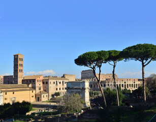 Blue sky, green grass, stone pines, Santa Francesca Romana church, Triumphal arch of Titus and...