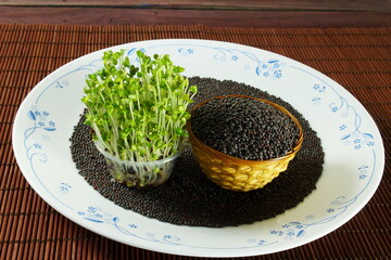 brown mustard seeds spice or rai in plate with microgreen mustard plant