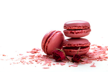 Pink rose french macarons on pastel background traditional dessert in France