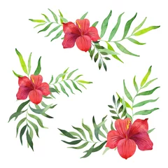 Deurstickers Watercolor elements for design, postcards, invitation with tropical leaves and flowers © Hanna