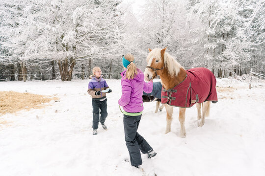 teen  girls with pony in the snow