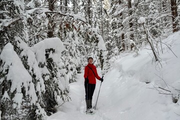 Woman in red sport jacket snowshoeing in winter forest covered with fresh snow. Canadian Rokies....