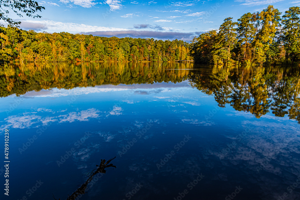 Wall mural fall foliage reflecting in yates mill pond, raleigh, north carolina, usa