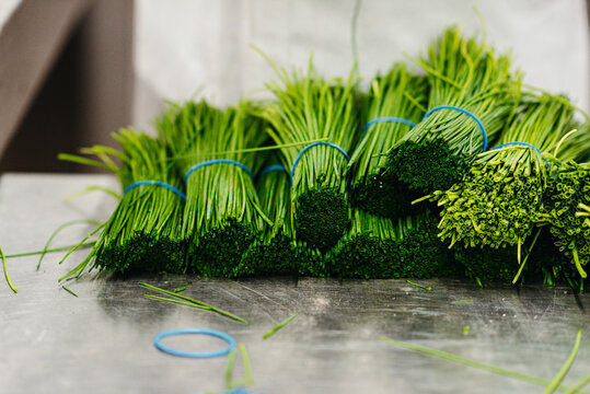 Bundle of chives