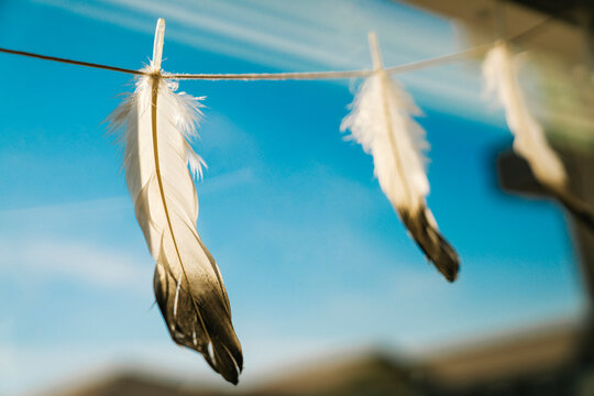 Feathers hanging on string in sunlight against blue sky