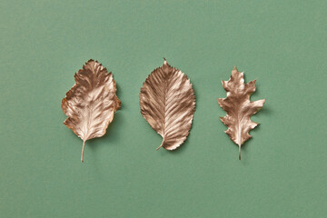 Various golden leaves in studio