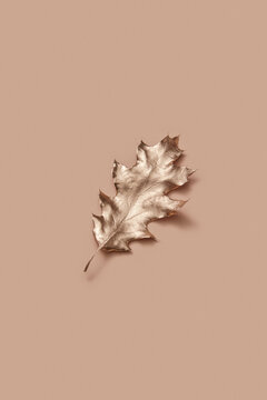 Golden oak leaf in studio