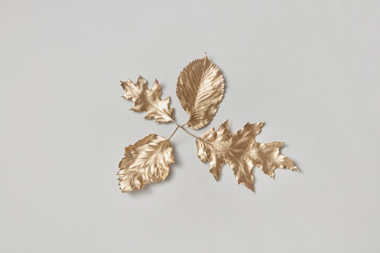 Various golden leaves on white background