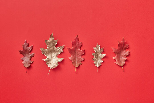 Various fall leaves on red background