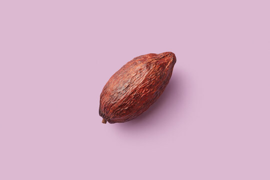 Single cocoa pod on pink background