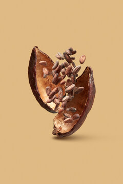 Dried beans with cocoa pod in studio