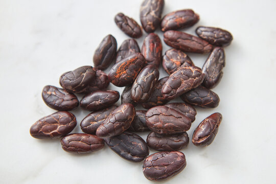 Roasted cocoa beans on white background
