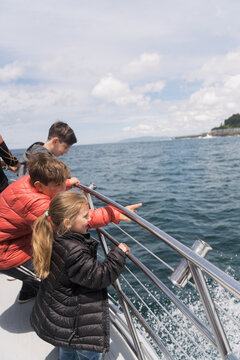 whale watching with kids on boat