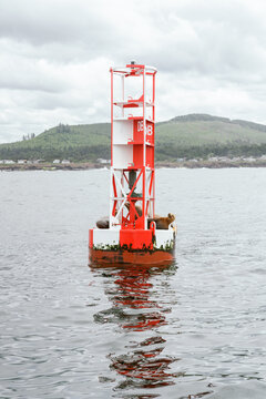 red ocean buoy 