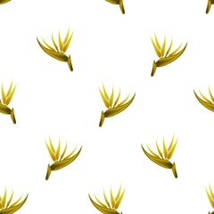 tropical bird of paradise flowers seamaless pattern fashionable texture design on white background. Floral background. Exotic tropics. Summer design. vector design decorative. flowers illustration