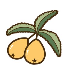 シンプルでかわいい果物のイラスト＿ビワ