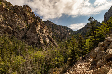 landscape in the mountains