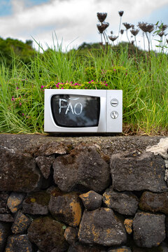 Pao: bread in Portuguese, self-service