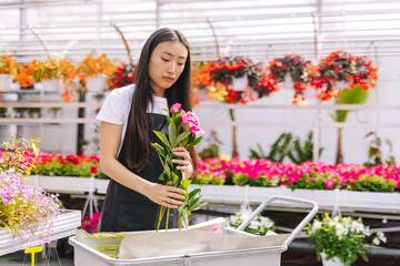 Florist making flower composition for fulfill  order