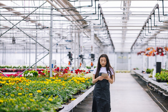 Girl typing data  about plants into device