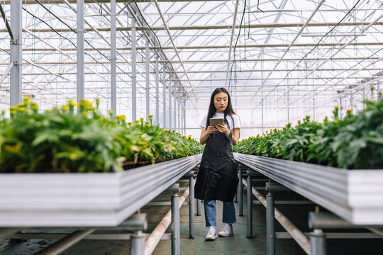 Girl checking counts of potted flowers