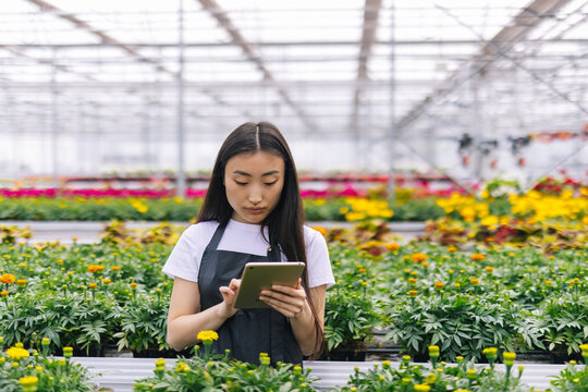 Girl in uniform entering information about plants