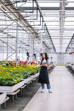 Woman using digital tablet while working in greenhouse