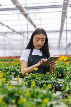 Woman using gadget for counting flowers 