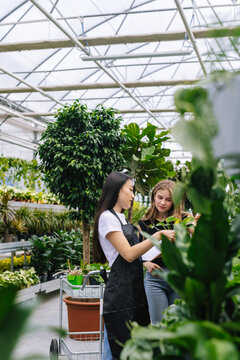 Florist giving advice to customer in gardening shop