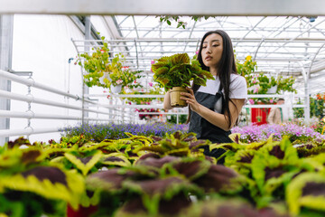 Serious female farmer amidst flowers plants