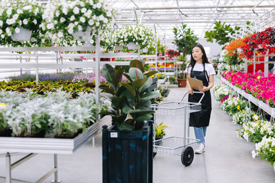 Girl working in store arranging flowers 
