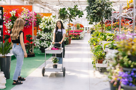 Florist carrying packed flowers into cart 