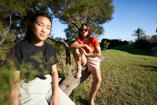 Stylish diverse friends sitting on pine tree