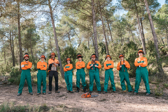 Team of woodcutters in forest