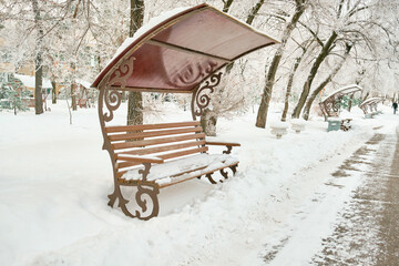 Culture and Recreation Park of Khabarovsk, Russia after heavy snowfall in the morning at sunrise. Trees in the snow.