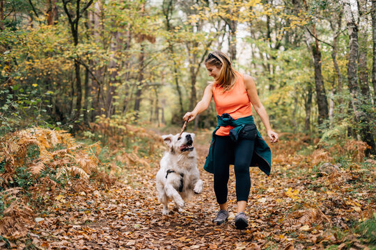 A beautiful woman has fun with her dog in autumn