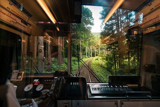 Forest railway