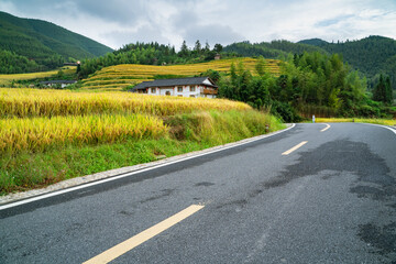 Road besides the rice fields