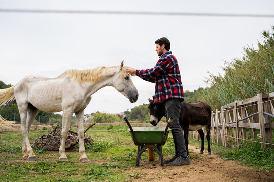 Equine caretaker outdoor