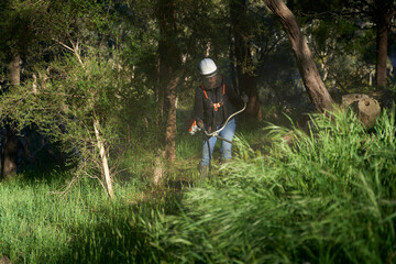 Overgrown bush block being cut back