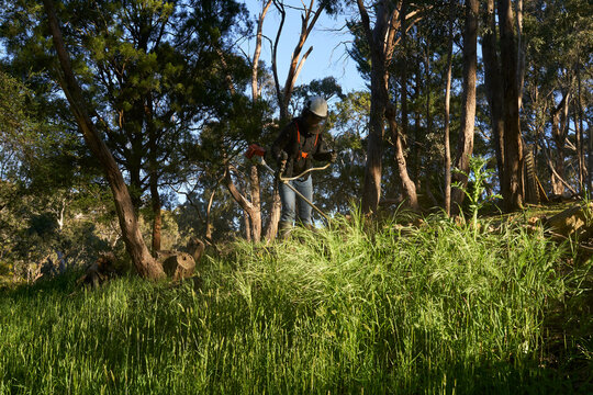 Woman using a brush cutter on long grass