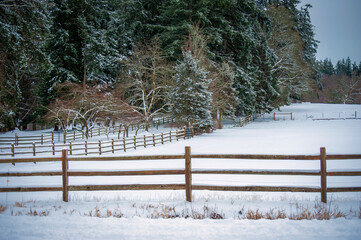 Lovely Winter Snow Scene With Split Rail Fences and Pastureland. Traditional holiday look at a snow field after a snow storm.