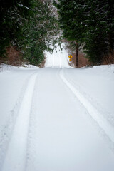 Tire Tracks on a Rural Road After a Snow Storm. A tree lined country lane with only one pair of tires tracks after a substantial winter snowfall.